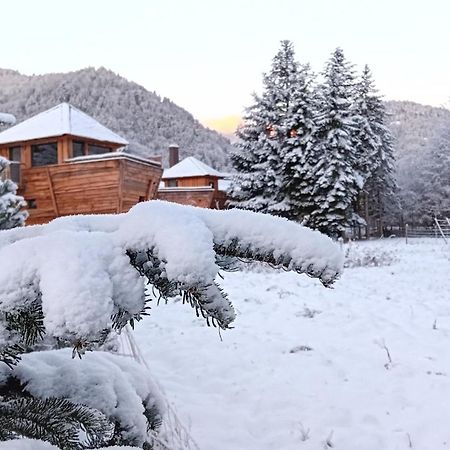 Escale Cab'Ane Hotel Mittlach ภายนอก รูปภาพ